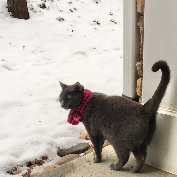 Furr-ocious Styles - Picture 3 of 6